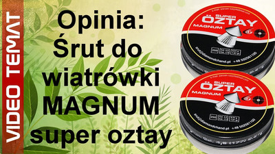 Śrut do wiatrówek Magnum super Oztay - Opinia i Test